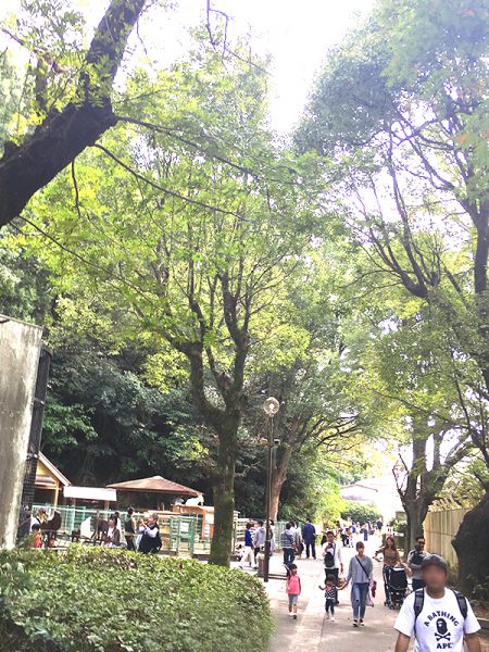 大牟田市動物園で「めんたま」をつくる